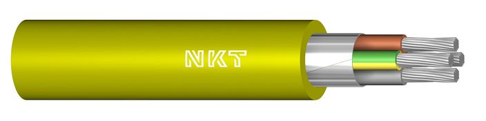 N1XE-R-2019-01 yellow v5.jpg